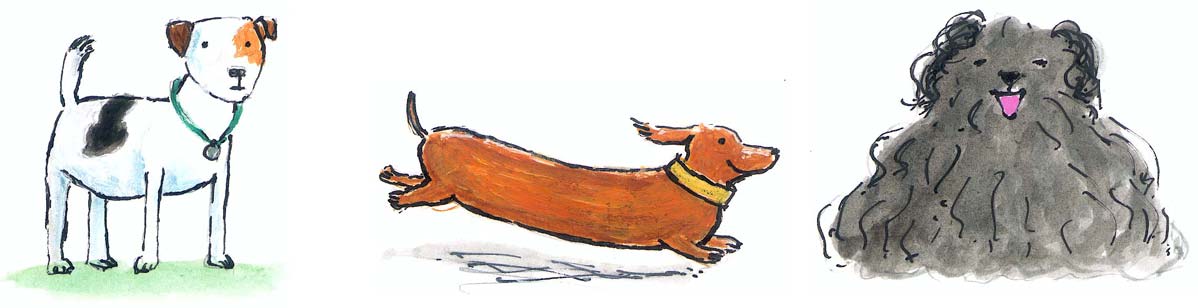 Collectief Stratford on Avon Zenuwinzinking 10 waanzinnige weetjes over honden - Jozua Douglas